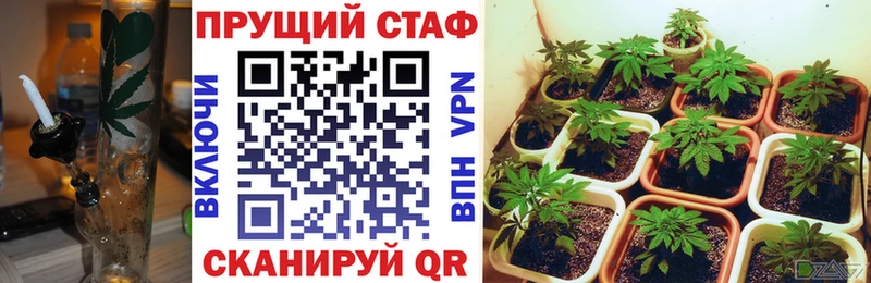 Где купить наркотики Старица СОЛЬ  Конопля  Кокаин  гидра зеркало  ГАШ  Мефедрон 