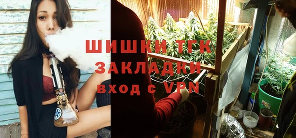 ПСИЛОЦИБИНОВЫЕ ГРИБЫ Сатка