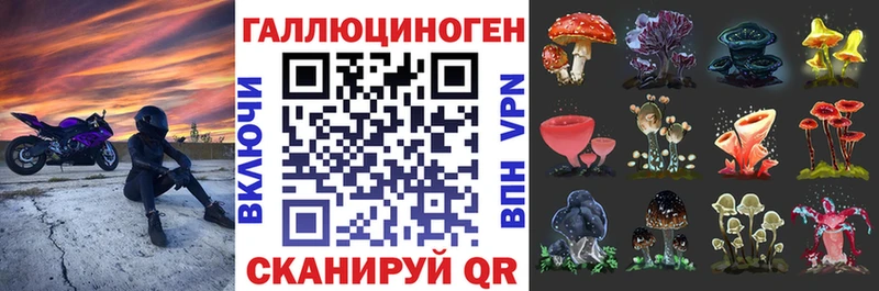 Псилоцибиновые грибы Psilocybe  Старица 